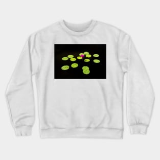 Lily Pads on Black Water Crewneck Sweatshirt